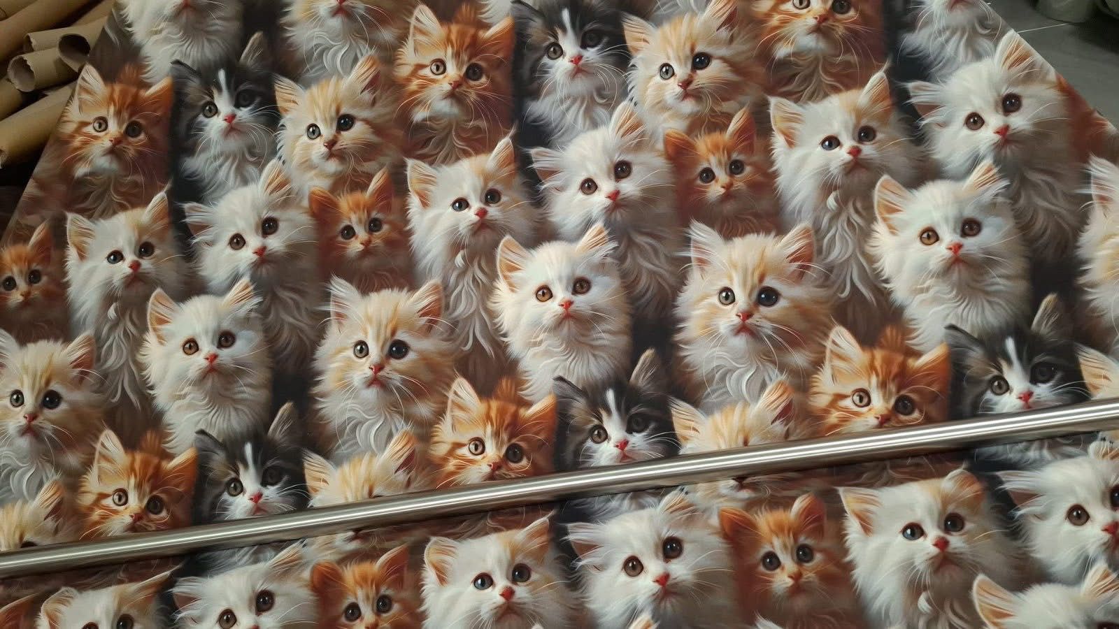 bluza dziecięca